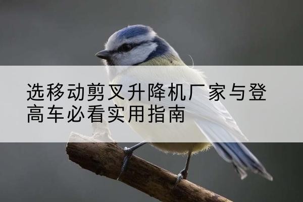 武胜电动升降机厂家-选移动剪叉升降机厂家与登高车必看实用指南