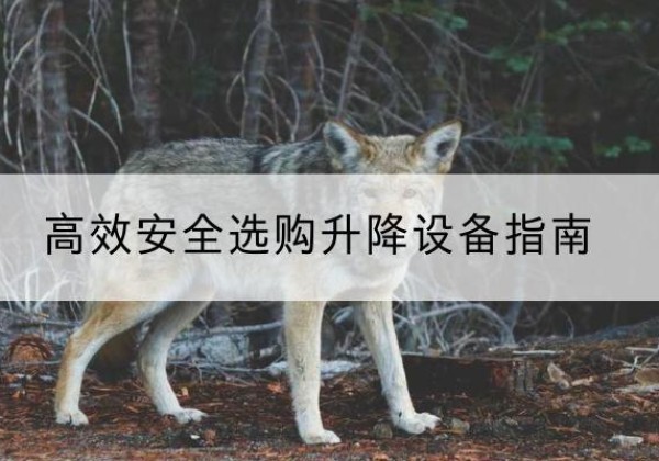武胜升降货梯厂家推荐-*安全选购升降设备指南